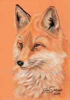 Kitsune
